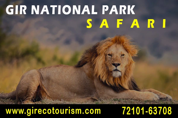 Gir National Park Safari