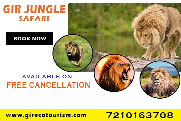 Gir Safari Booking Details