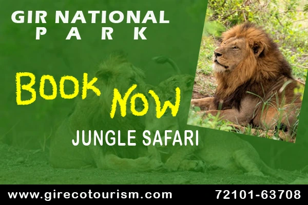 Gir Safari